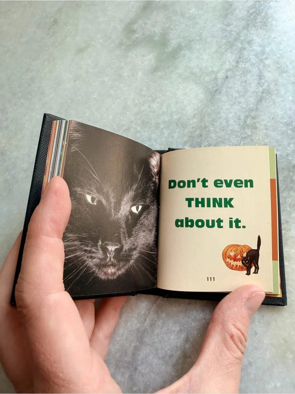 N/A scaredy cats